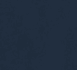 NAVY/