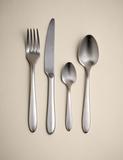 16 Piece Maxim Brushed Cutlery Set