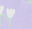 LILAC MIX