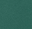 DARK EVERGREEN